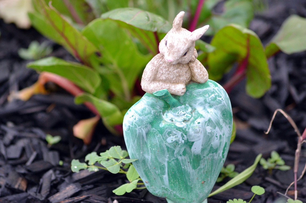 Garden-Rabbit | Gardens For Goldens
